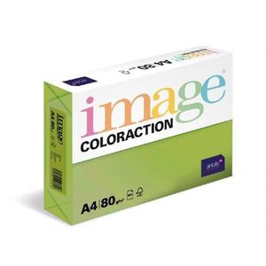 Antalis Java - barevný kancelářský papír, středně zelený A4, 80 g/m2, 500 listů obraz