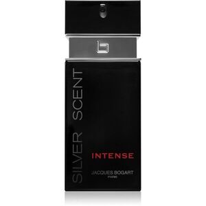 Jacques Bogart Silver Scent Intense toaletní voda pro muže 100 ml obraz