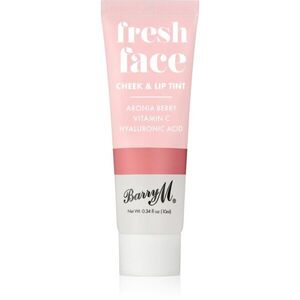 Barry M Fresh Face tekutá tvářenka a lesk na rty odstín Summer Rose 10 ml obraz