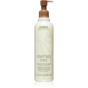 Aveda Rosemary Mint Hand and Body Wash jemné mýdlo na ruce a tělo 250 ml obraz