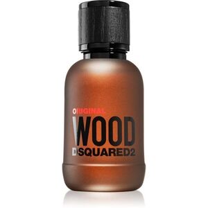 Dsquared2 Original Wood parfémovaná voda pro muže 50 ml obraz