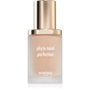 Sisley Phyto-Teint Perfection vysoce krycí make-up pro rozjasnění a vyhlazení pleti odstín 1N - Ivory 30 ml obraz