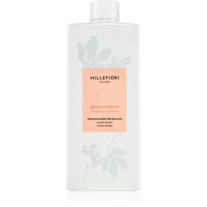 Millefiori Milano Laundry Gemme D´Agrumi koncentrovaná vůně do pračky 250 ml obraz