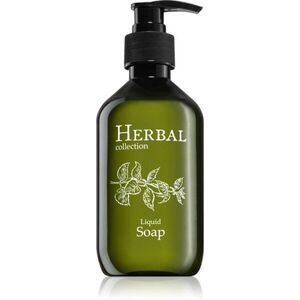 Alda cosmetics Herbal Collection tekuté mýdlo 300 ml obraz