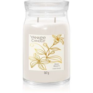 Yankee Candle Little Luxuries Slow Bloom vonná svíčka 567 g obraz
