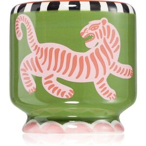Paddywax A Dopo Tiger vonná svíčka 226 g obraz