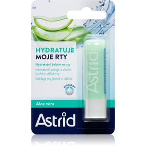 Astrid Lip Care hydratační balzám na rty s aloe vera 4.8 g obraz