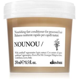 Davines NouNou Nourishing Conditioner výživný kondicionér pro křehké vlasy 250 ml obraz