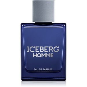 Iceberg Homme parfémovaná voda pro muže 100 ml obraz