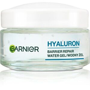 Garnier Skin Naturals Hyaluron Barrier Repair denní hydratační krém s gelovou texturou 50 ml obraz