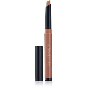 Estée Lauder The Essential Eyeshadow Stick oční stíny v tužce odstín 06 Spritz 1.6 g obraz