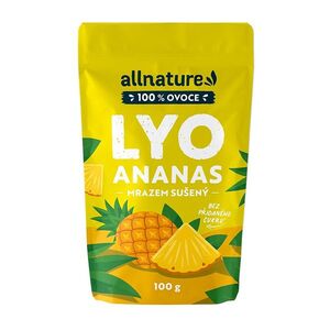 ALLNATURE Ananas sušený mrazem 100 g obraz