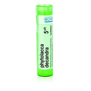 Boiron PHYTOLACCA DECANDRA CH5 granule 4 g obraz