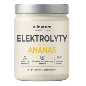 Allnature Sportlab Elektrolyty ananas 274 g obraz