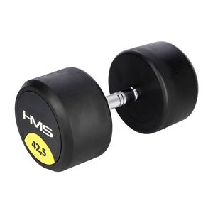 HMS Pogumovaná jednoruční činka HG Pro 42, 5 kg obraz
