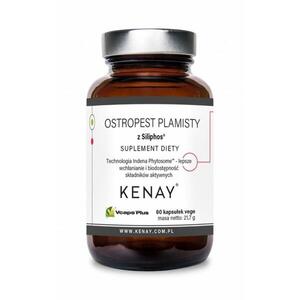 Kenay Ostropest plamisty Siliphos 60 kapslí obraz