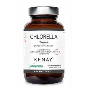 Kenay Chlorella Yaeyama chlorella vulgaris 120 tablet obraz