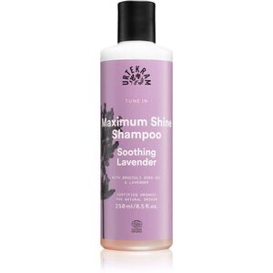 Urtekram Soothing Lavender zklidňující šampon pro lesk a hebkost vlasů 250 ml obraz