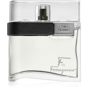 Ferragamo F by Ferragamo toaletní voda pro muže 100 ml obraz