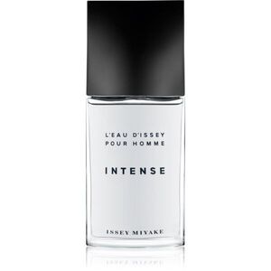 Issey Miyake L'Eau d'Issey Pour Homme Intense toaletní voda pro muže 125 ml obraz