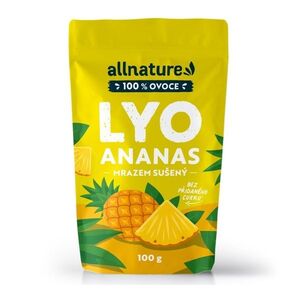 Allnature Ananas sušený mrazem 100 g obraz