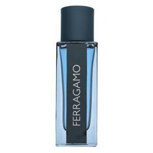 Salvatore Ferragamo Intense Leather parfémovaná voda pro muže 30 ml obraz