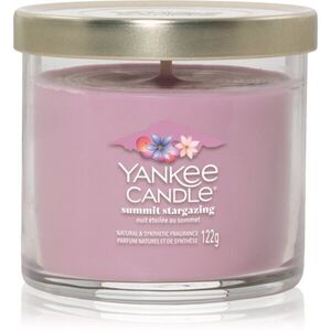 Yankee Candle Summit Stargazing vonná svíčka Signature 122 g obraz