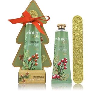 Accentra Winter Spa Hand Care Set dárková sada na ruce a nehty obraz