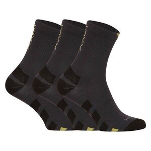 VoXX 3PACK ponožky tmavě šedé (Gastl) L obraz