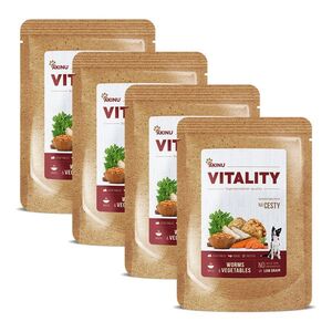 Akinu VITALITY Hmyzí vývar kapsa pro psy na cesty 4 x 200 g obraz