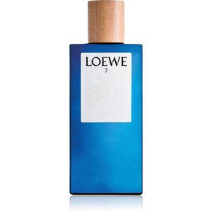Loewe 7 toaletní voda pro muže 100 ml obraz