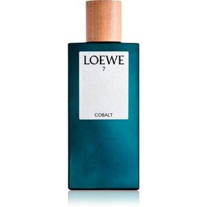Loewe 7 Cobalt parfémovaná voda pro muže 100 ml obraz