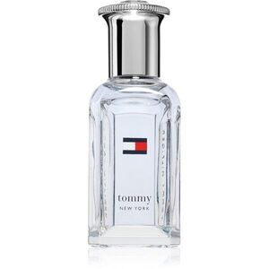 Tommy Hilfiger NEW YORK toaletní voda pro muže 30 ml obraz