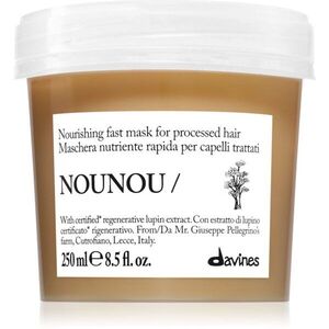 Davines NouNou Nourishing Mask výživná maska pro křehké vlasy 250 ml obraz