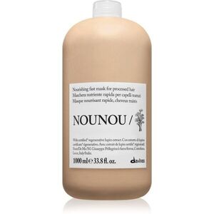 Davines NouNou Nourishing Mask výživná maska pro křehké vlasy 1000 ml obraz