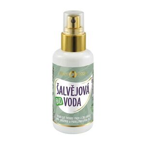 PURITY VISION Bio Šalvějová voda 100 ml obraz