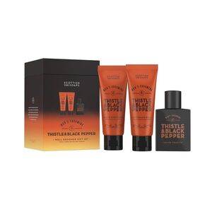 Scottish Fine Soaps Thistle & Black Pepper Scottish Fine Soaps Thistle & Black Pepper balzám po holení v tubě 75 ml + Scottish Fine Soaps Thistle & Black Pepper toaletní voda 50 ml + Scottish Fine Soa obraz