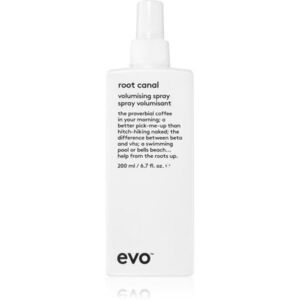 EVO Volume Root Canal objemový sprej pro jemné vlasy 200 ml obraz