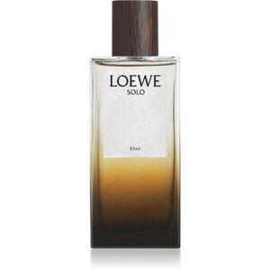Loewe Solo Elixir parfémovaná voda pro muže 100 ml obraz