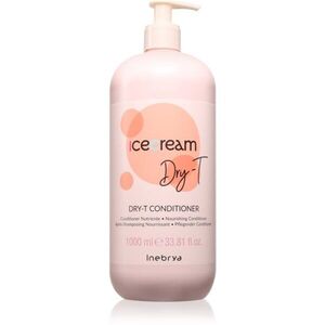 Inebrya Ice Cream Dry-T Conditioner revitalizační kondicionér pro suché a poškozené vlasy 1000 ml obraz