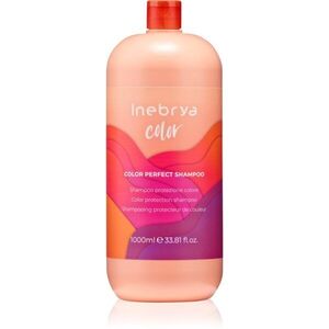 Inebrya Color Perfect Shampoo šampon pro ochranu barvy 1000 ml obraz
