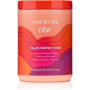 Inebrya Color Perfect Mask maska pro ochranu barvy 1000 ml obraz