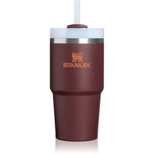 Stanley Quencher H2.O FlowState™ Tumbler nerezový tumbler s brčkem malý coffee 1 ks obraz