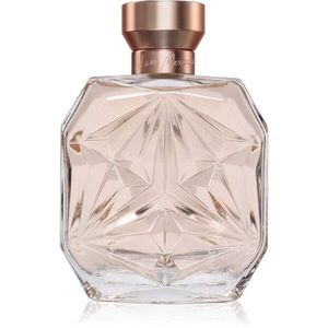 Mercedes-Benz I AM MERCEDES parfémovaná voda pro ženy 100 ml obraz