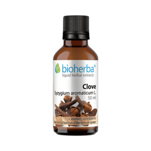 Hřebíček – tinktura kapky – 50 ml – Bioherba obraz
