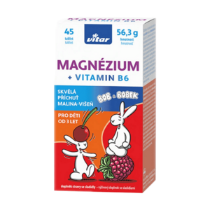 VITAR Kids Magnézium+B6 malina-višeň 45 tablet obraz