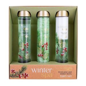 ACCENTRA Winter spa sada koupelová zkumavky zimní ovoce 3 kusy obraz
