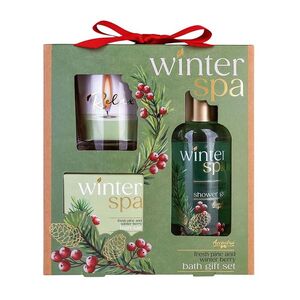 ACCENTRA Winter spa sada koupelová zimní ovoce 3 kusy obraz