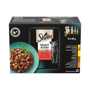 Sheba Selection in Jelly šťavnatý výběr v želé kapsička 12x85 g obraz