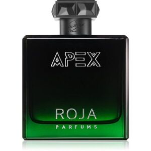 Roja Parfums Apex parfémovaná voda pro muže 100 ml obraz